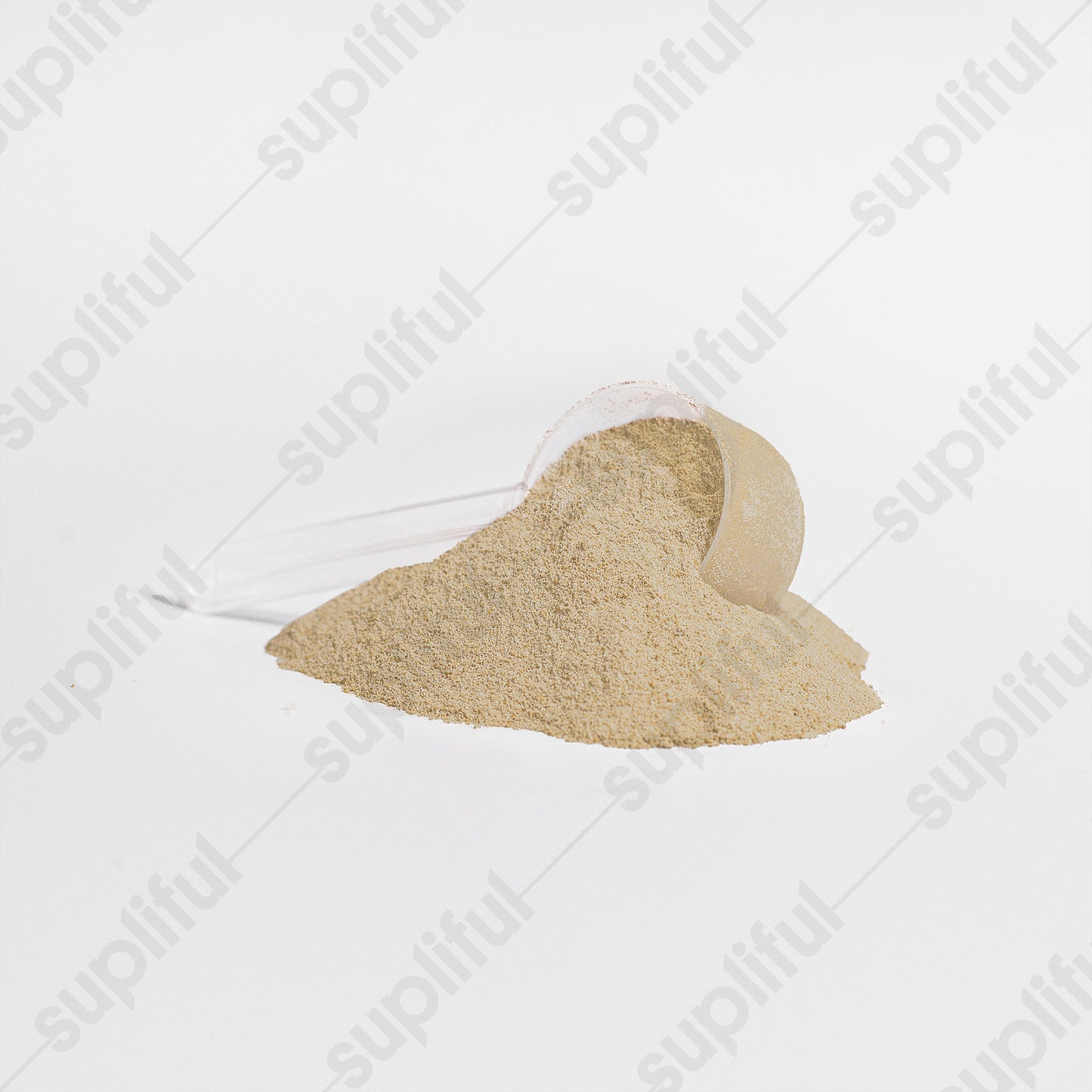 SILVERBACK STEEL: PURE POWER WHEY PROTEIN ISOLATE VANILLA